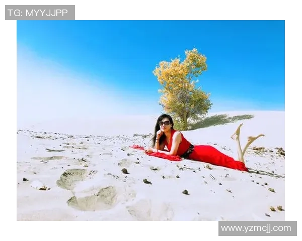 霍伊伦的传奇人生与科学探索之路：从学术到实践的跨越与启示